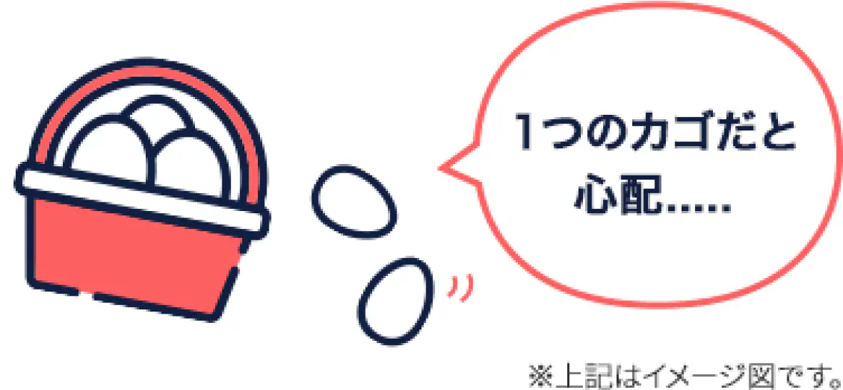 1つのカゴだと心配...